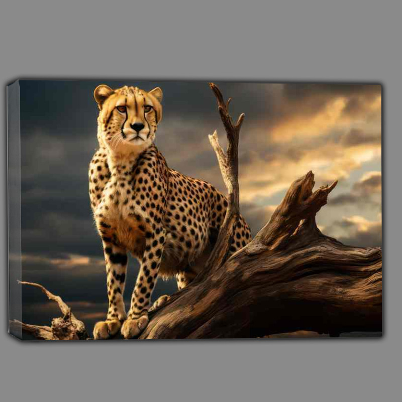 Buy Canvas : (A Cheetah standing on top of a dead tree)